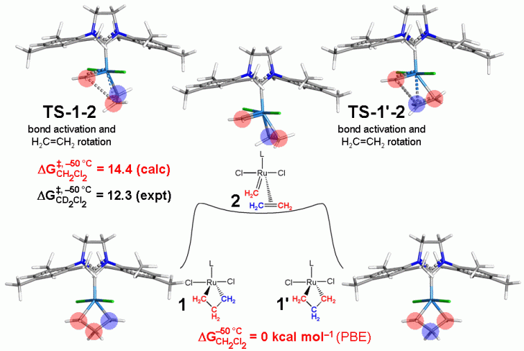 computational results used to propose a mechanism for ethylene exchange